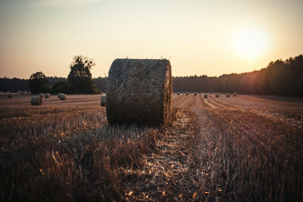 Kredyt Szybka Inwestycja Agro